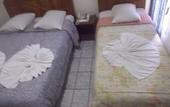 Туры в отель Hotel Tulipa