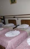 Туры в отель Hotel Tulipa
