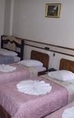 Туры в отель Hotel Tulipa