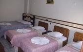 Туры в отель Hotel Tulipa