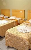 Туры в отель Hotel Cardim Plaza