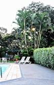 Туры в отель Praia Sol Hotel