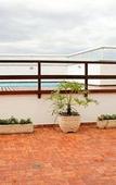 Туры в отель Jaguary Hotel Sumare