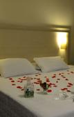 Туры в отель Golden Blue Hotel