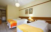 Туры в отель Hotel Pousada Sao Francisco