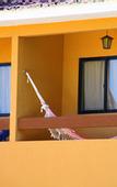 Туры в отель Hotel Pousada Sao Francisco