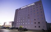 Туры в отель Druds Hotel Hortolandia