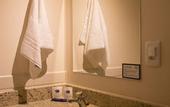 Туры в отель Druds Hotel Hortolandia