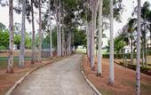 Туры в отель San Raphael Country Hotel