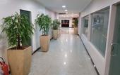 Туры в отель Belem Soft Hotel