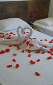 Туры в отель Hotel Pousada Delplata
