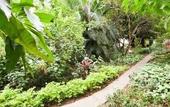 Туры в отель Hotel Passaledo