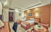 Туры в отель Castro's Park Hotel