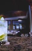 Туры в отель SUICA IGUACU Hotel & Resort