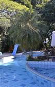 Туры в отель SUICA IGUACU Hotel & Resort