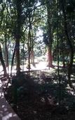 Туры в отель SUICA IGUACU Hotel & Resort