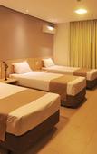 Туры в отель Valinhos Plaza Hotel