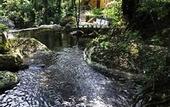 Туры в отель Pousada Bromelias