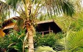 Туры в отель Pousada Bromelias
