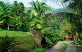 Туры в отель Pousada Bromelias