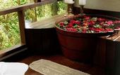 Туры в отель Pousada Bromelias