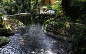 Туры в отель Pousada Bromelias