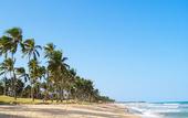 Туры в отель Malibu Plaza Hotel