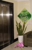 Туры в отель Hotel Sempre Bahia