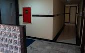 Туры в отель Hotel Sempre Executive
