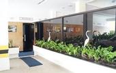 Туры в отель Hotel Sempre Executive