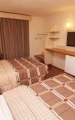 Туры в отель Hotel 10 Blumenau