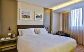 Туры в отель Holiday Inn Goiania by IHG