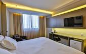 Туры в отель Holiday Inn Goiania by IHG