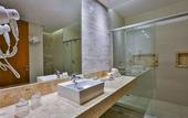 Туры в отель Holiday Inn Goiania by IHG