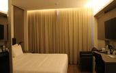 Туры в отель Holiday Inn Goiania by IHG