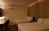 Туры в отель Holiday Inn Goiania by IHG