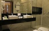 Туры в отель Holiday Inn Goiania by IHG