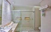 Туры в отель Holiday Inn Goiania by IHG
