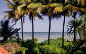 Туры в отель Hotel Porto do Zimbo