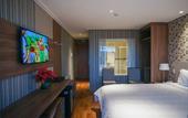 Туры в отель Chris Wellness Resort Hotel