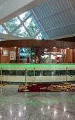Туры в отель Hotel Dan Inn Campos do Jordao