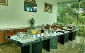Туры в отель Hotel Dan Inn Campos do Jordao