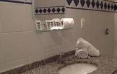 Туры в отель Hotel Brisa Rio