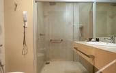Туры в отель Radisson Hotel Anapolis