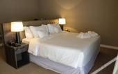 Туры в отель Radisson Hotel Anapolis