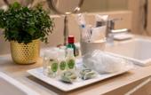 Туры в отель Radisson Hotel Anapolis