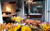 Туры в отель Bistro e Guest House Isadora Duncan