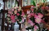Туры в отель Bistro e Guest House Isadora Duncan