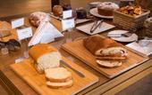 Туры в отель Hotel Araucaria Flat Araraquara