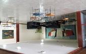 Туры в отель Hotel Amazonico